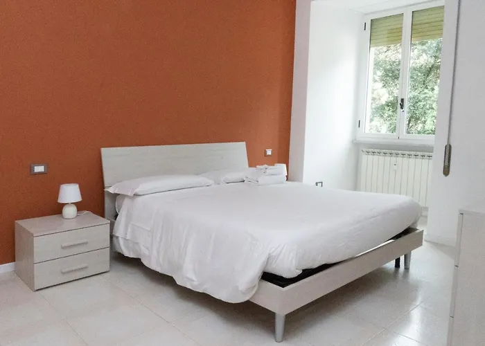 Flaminio New * Roma